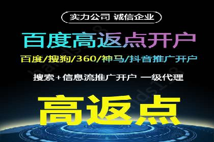 行业领先企业的SEM竞价代运营案例解析